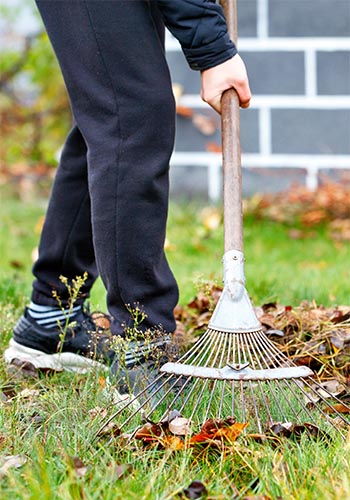 Fall Lawn Cleaning by Boulay Landscaping, LLC - Wells, Maine