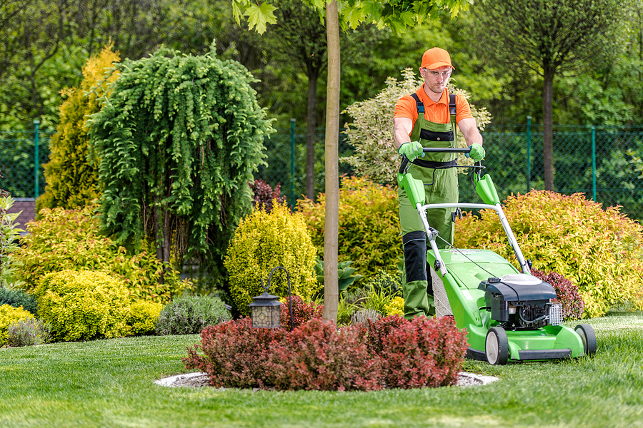 mowing lawn for monthly maintenance
