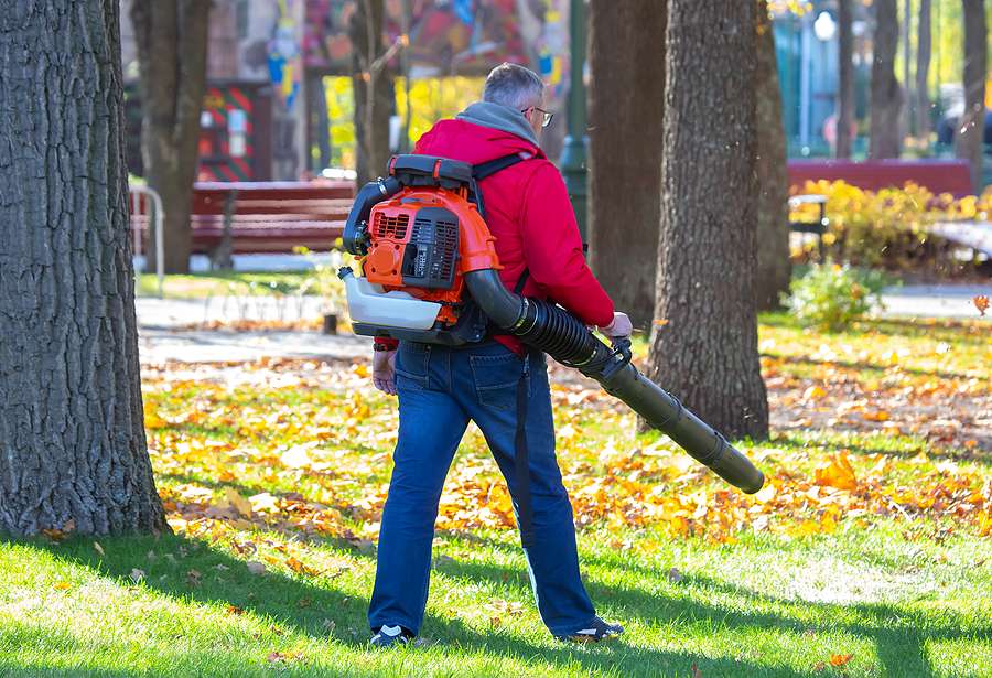 Fall Cleanup Services Recommended by Maine Landscaping Company