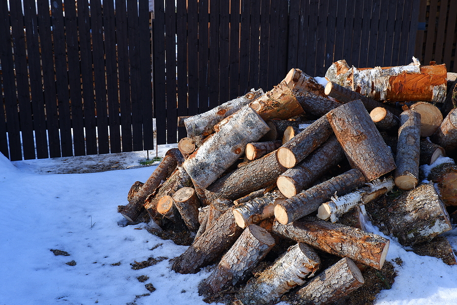 Firewood is a Good Resource in Maine