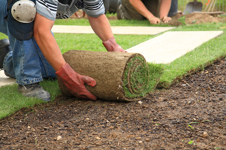 commercial lawn landscaping services